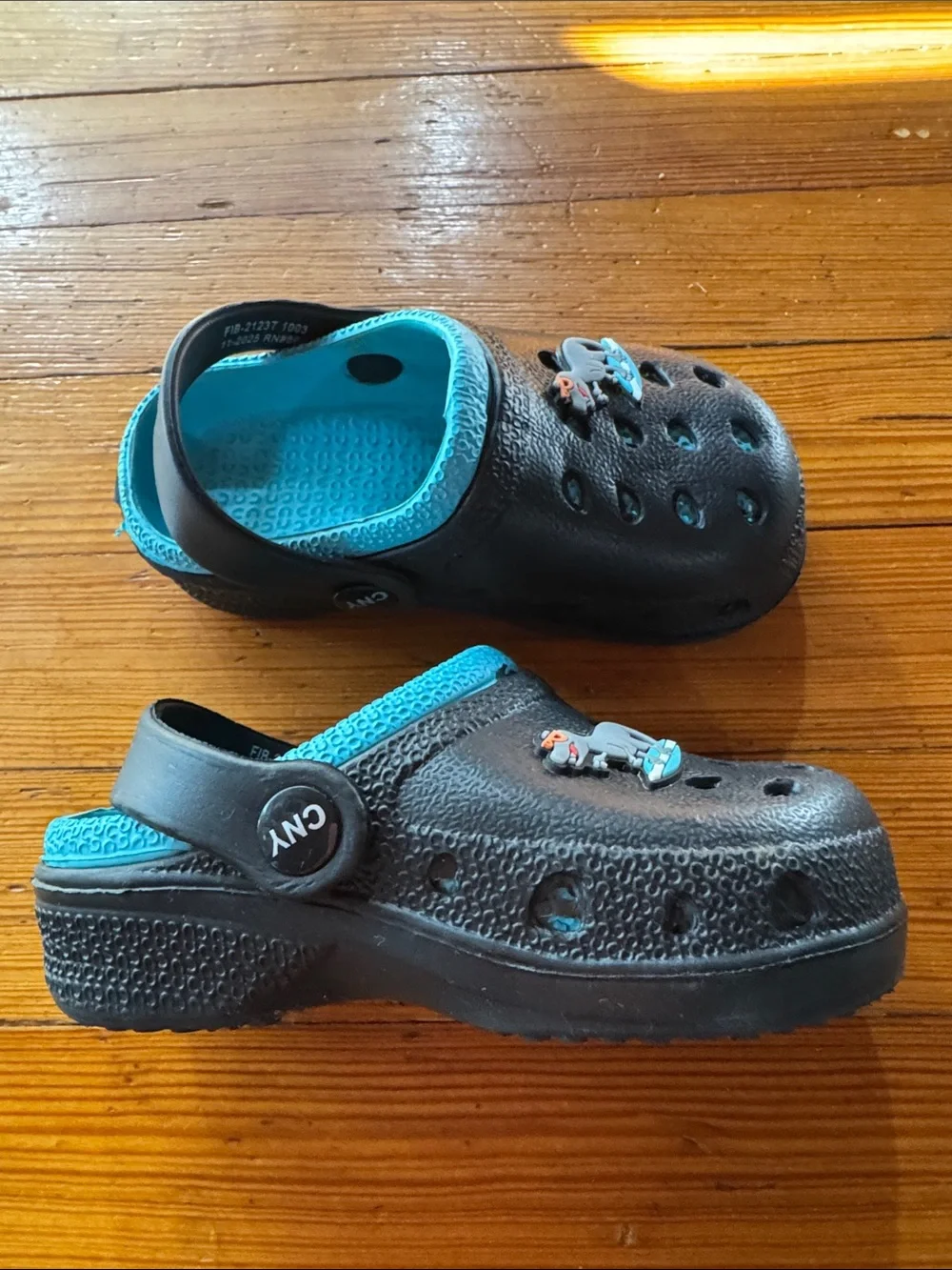 Capelli of New York Black Clogs with Teal Interior and Surf Dino stamp